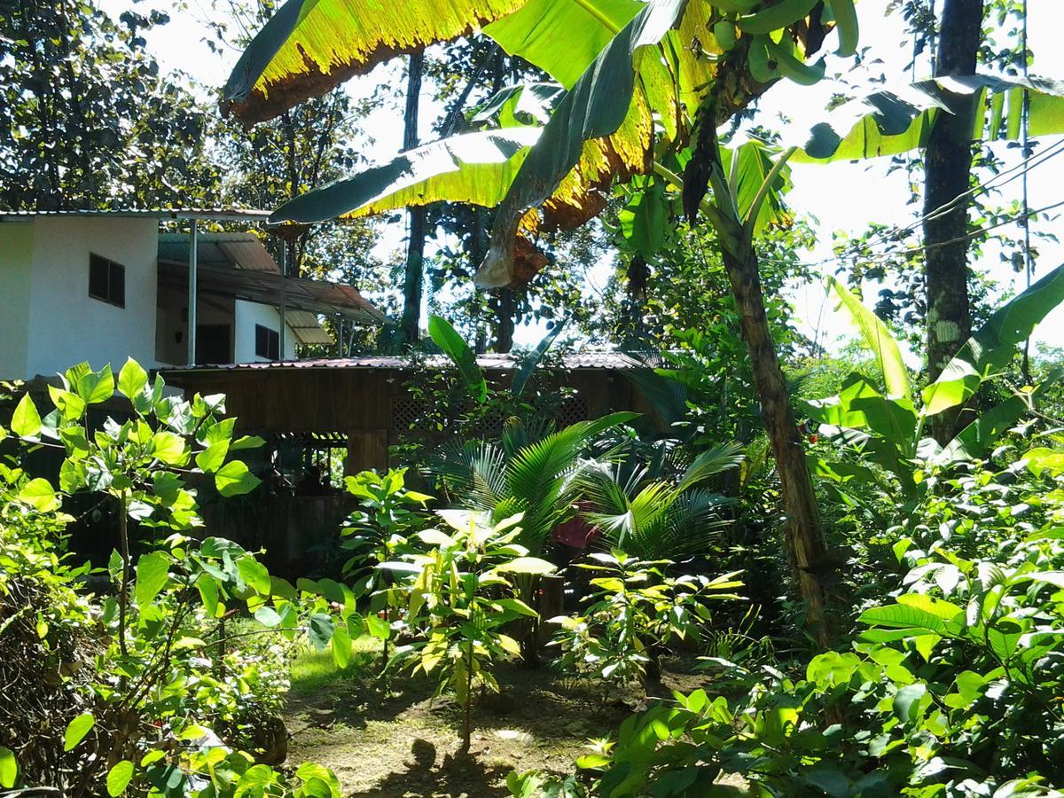 Osa De Rio Hotel Uvita Eksteriør billede